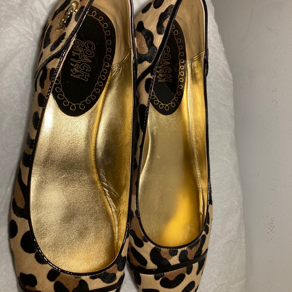 Coach Randy Flats - Picture 7 of 8